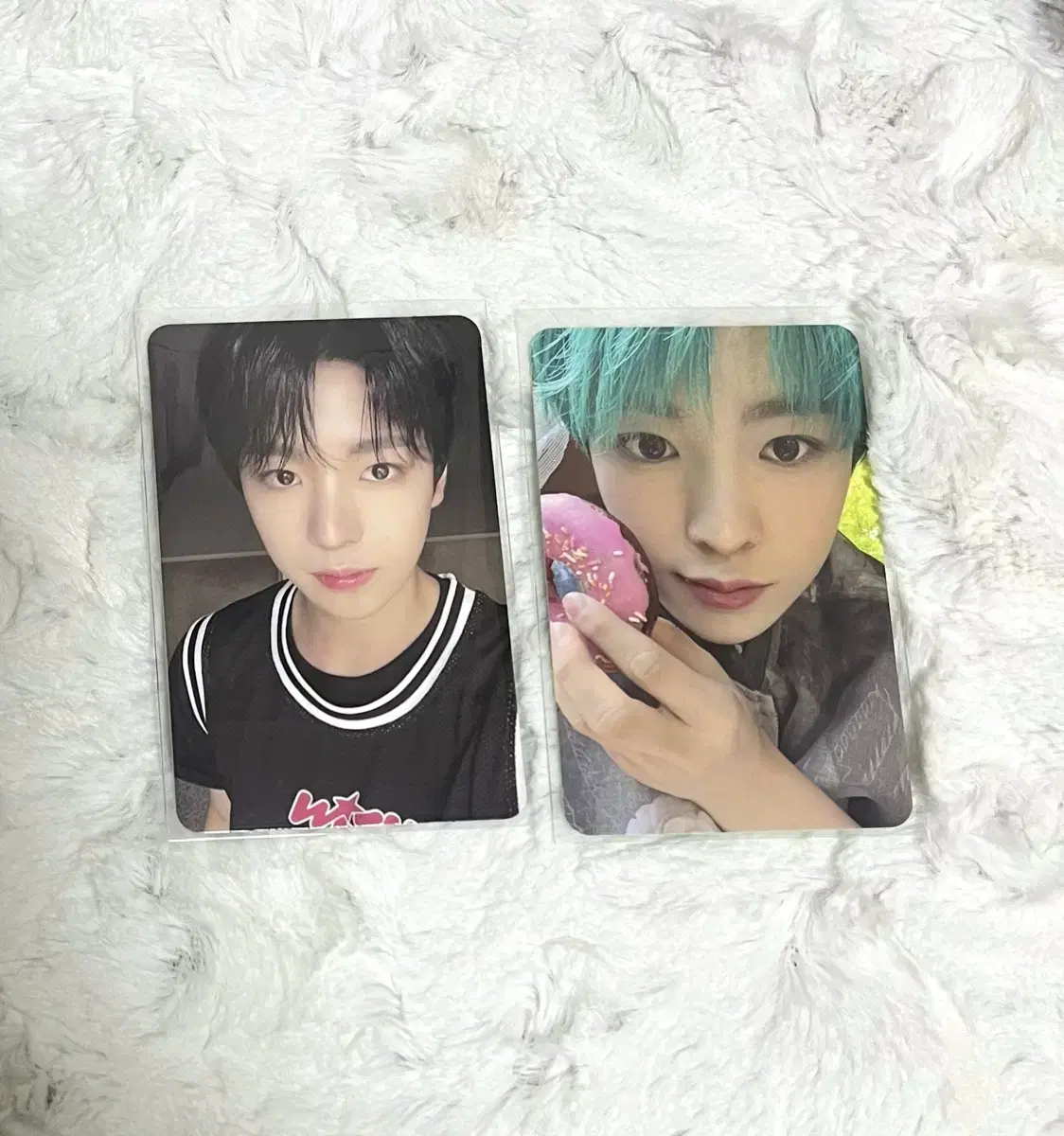 Uushi photocard bulk wts QR Donuts Songbird Steady