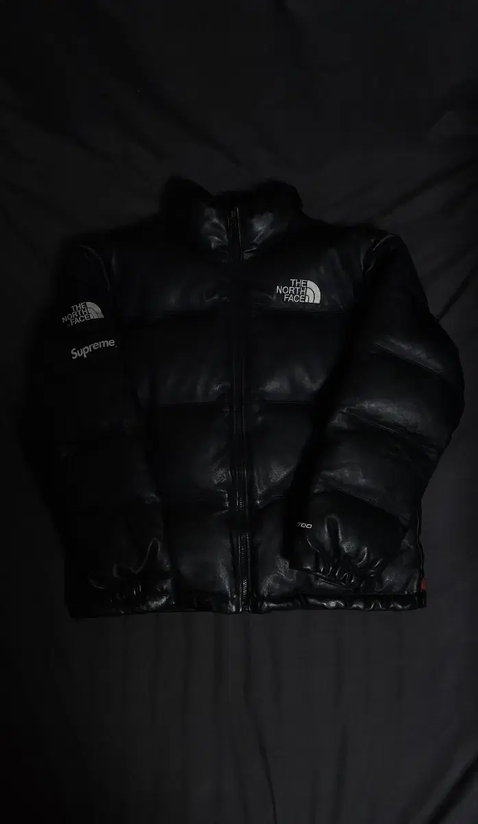 [L] Supreme The North Face Leather Knopsie Black