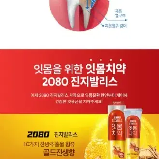 애경2080 진지발라스잇몸치약골드진생 140GX6개 6690원