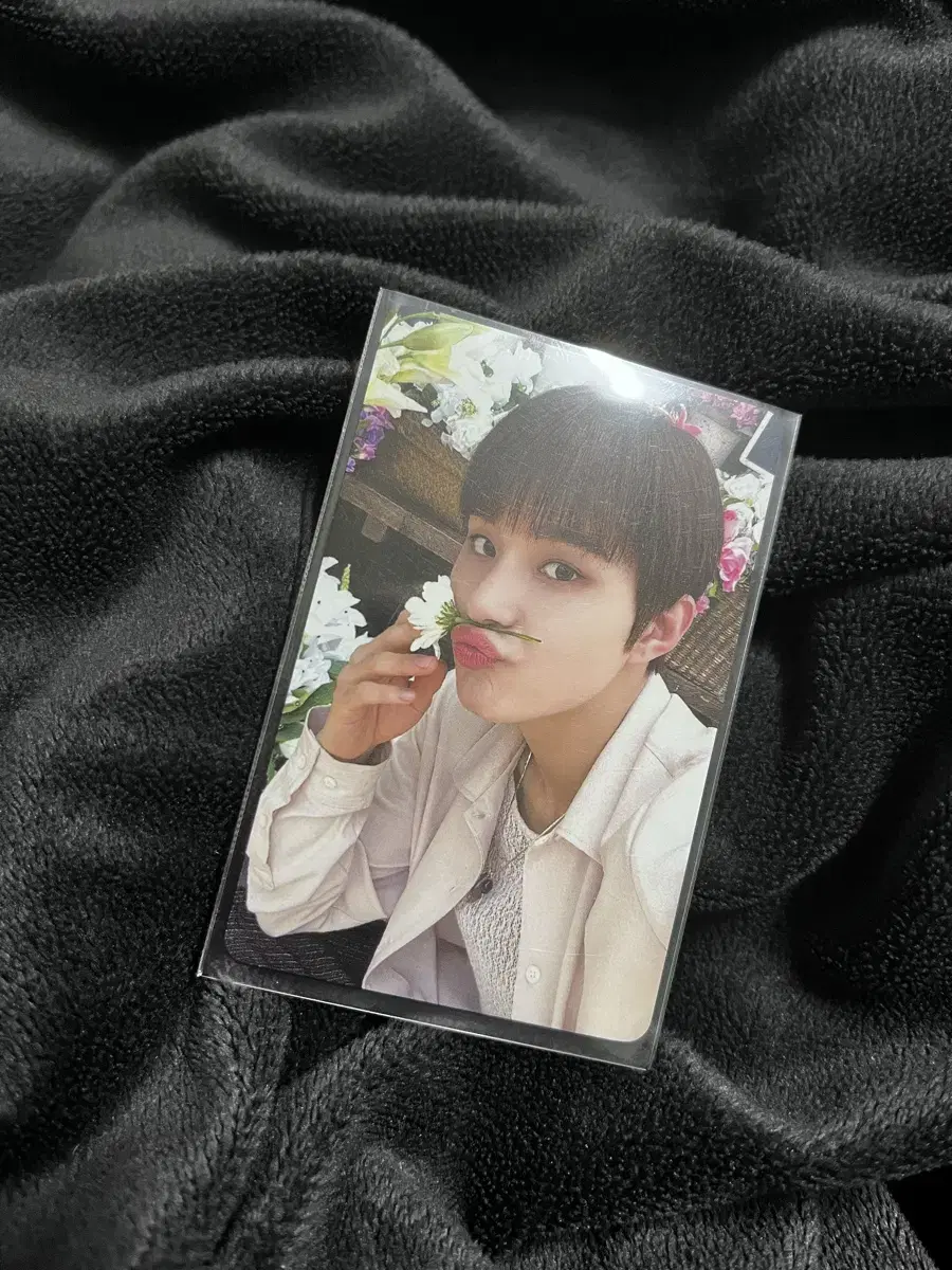 NCT Dojang Perfume with muu jungwoo photocard WTS