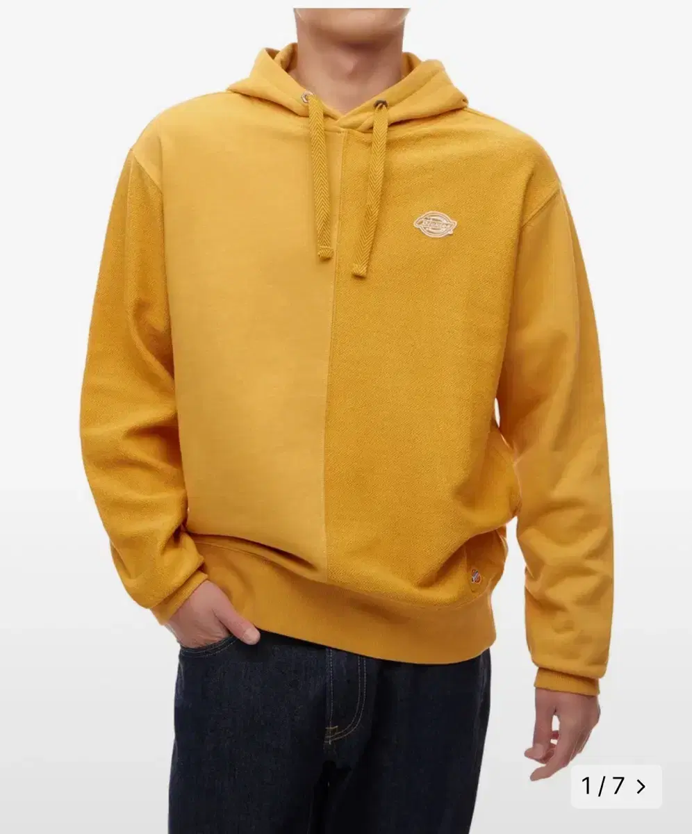 Dickies Hoodie XL Collection