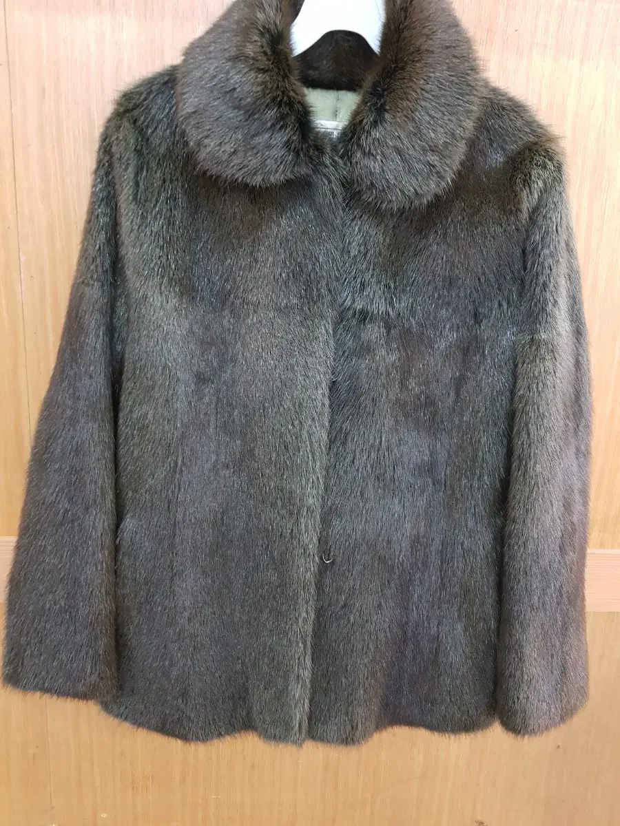 Mink Jacket