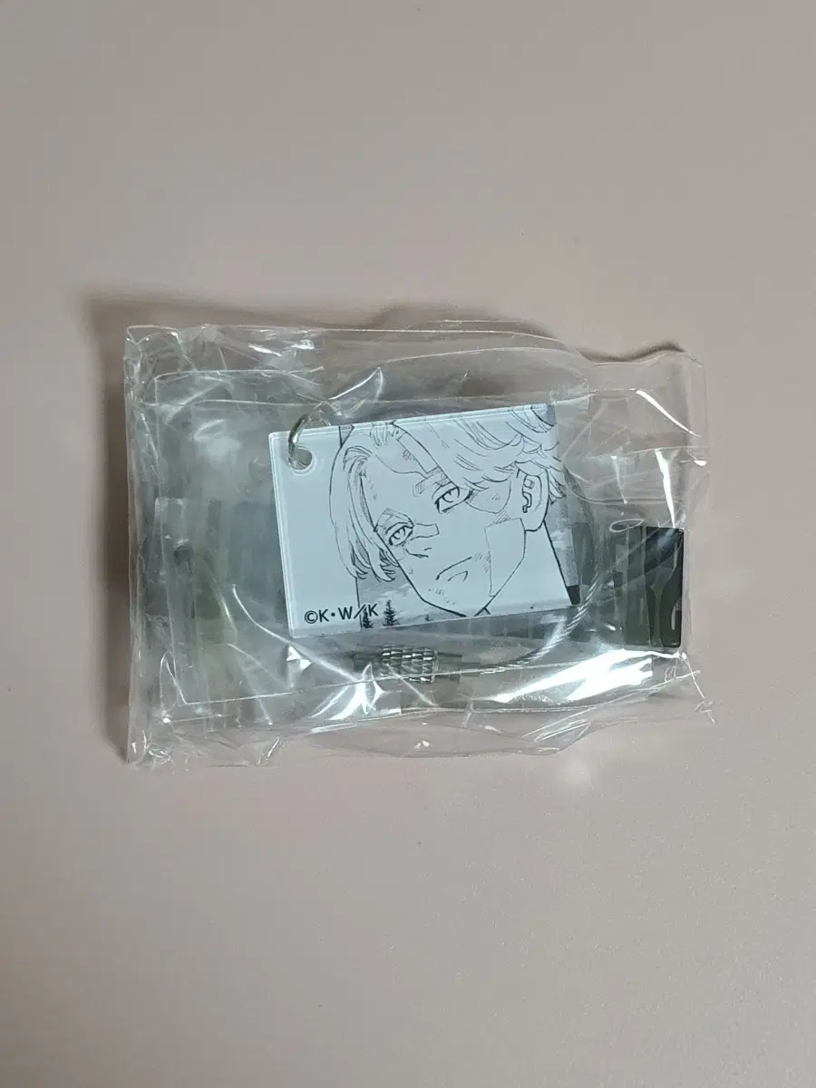 [unsealed]TokyoRevengersTokyoRebelsToriiBeninuPinuiSeishuWonenkoMemorialAcrylicPlateKeyring