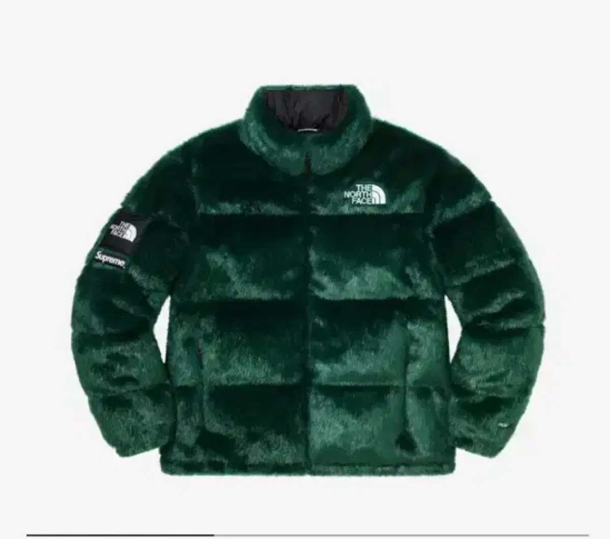 Supreme The North Face Fur Nopsie Jacket Green Size Small