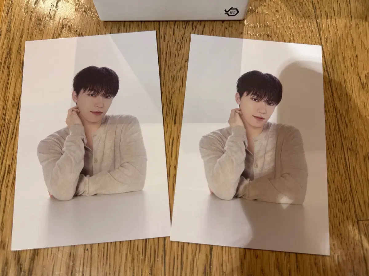 Seventeen dino ArtistMade postcard WTS