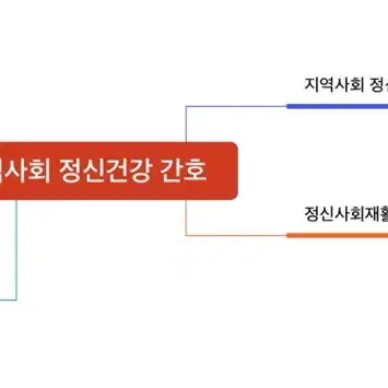 국가 간호사 마인드맵