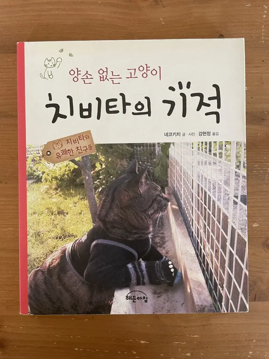 양손 없는 고양이 치비타의 기적 - 네코키치