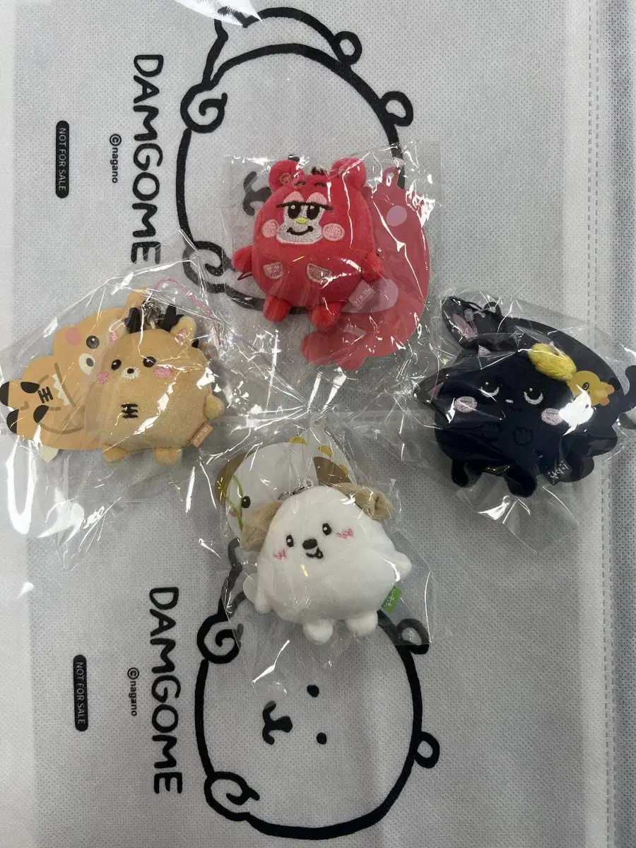 [New] riize Mini Doll keyring shotaro Tonny Duck ddolbyung Urakbam Song Swirling Bruise