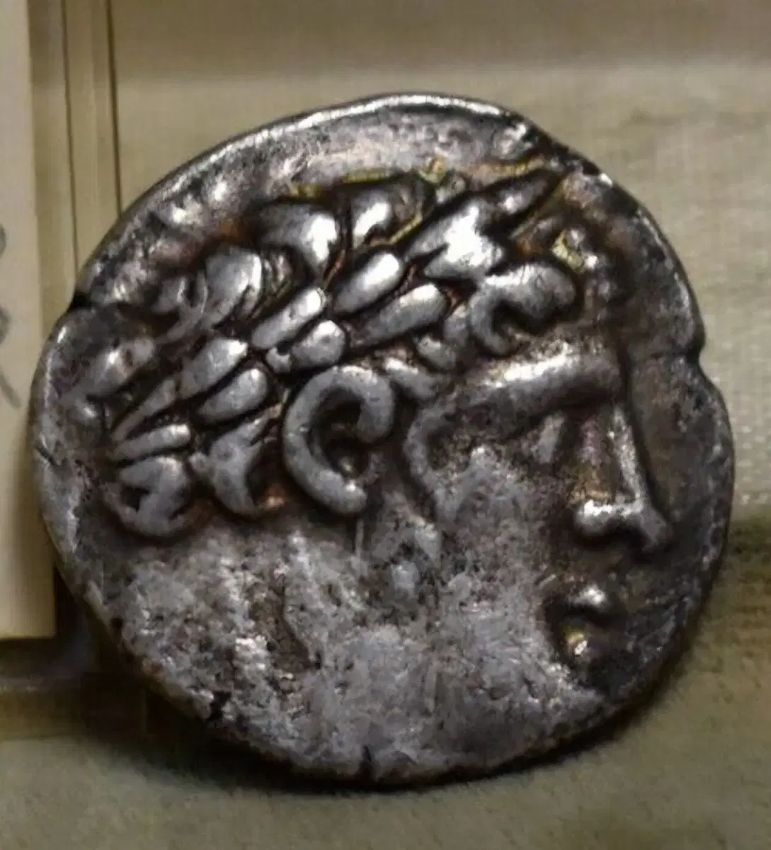 스타크래프트,starcraft,저그링,저그,반지,해골반지,은반지 | 브랜드 중고거래 플랫폼, 번개장터