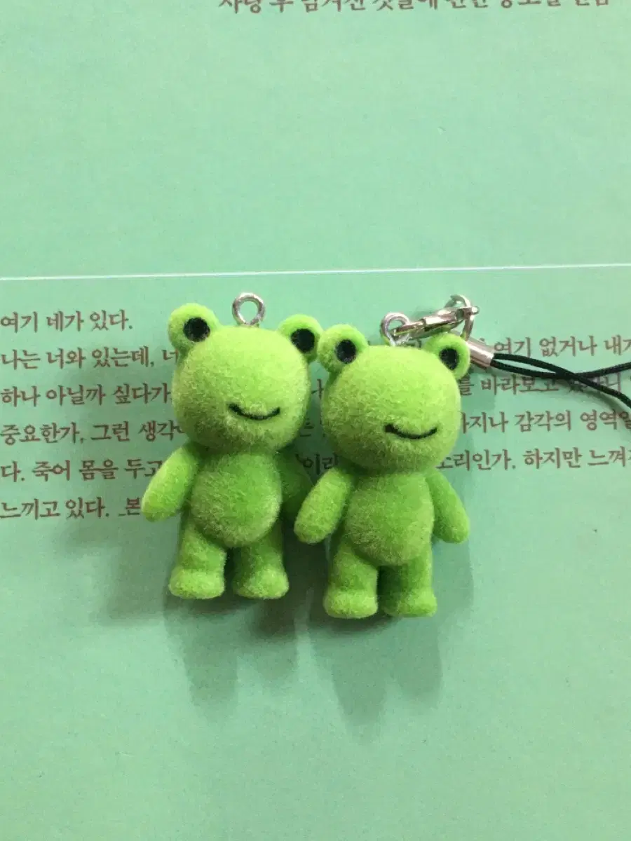 Frog keyring