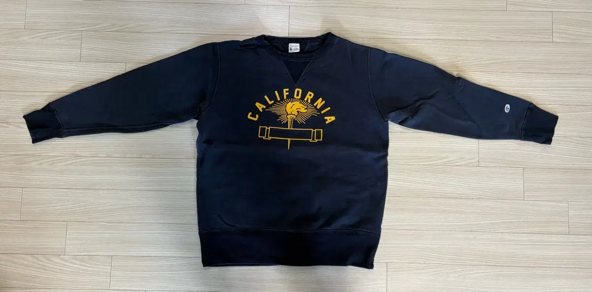 Champion Sweatshirt (Rochesterline) size XL