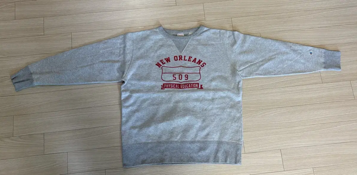 Champion Sweatshirt (Rochester Line) Size XL