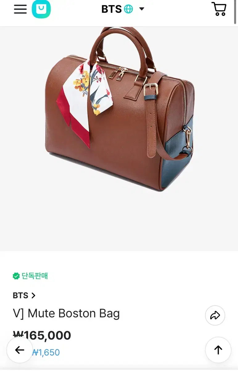 방탄소년단 태형 가방