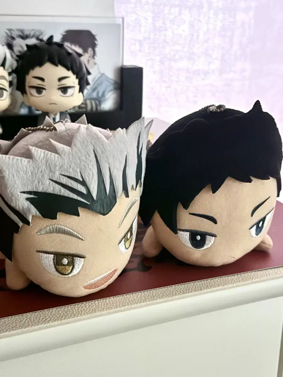 Haikyuu Bokuto Akaashi Flying Nui bulk sells