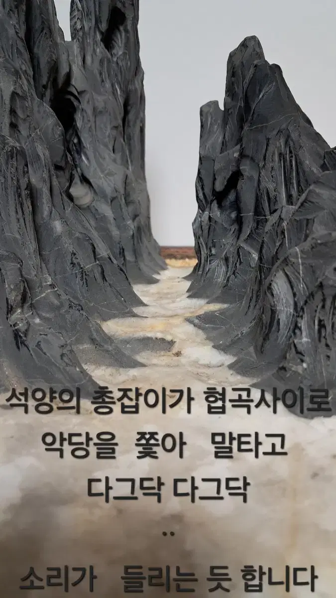 석부작 초물분경용 수석정리중  가격인하