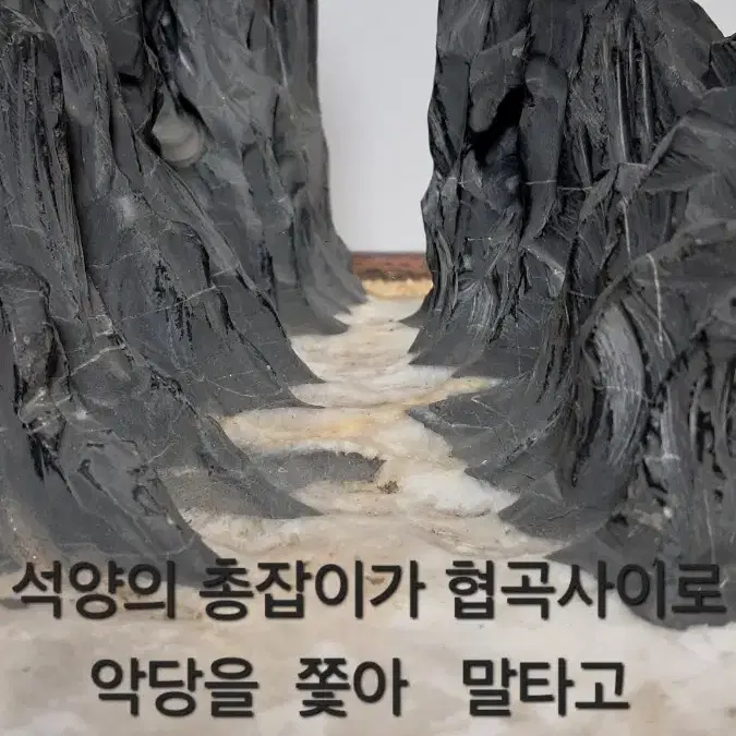 석부작 초물 분경용  작품수석