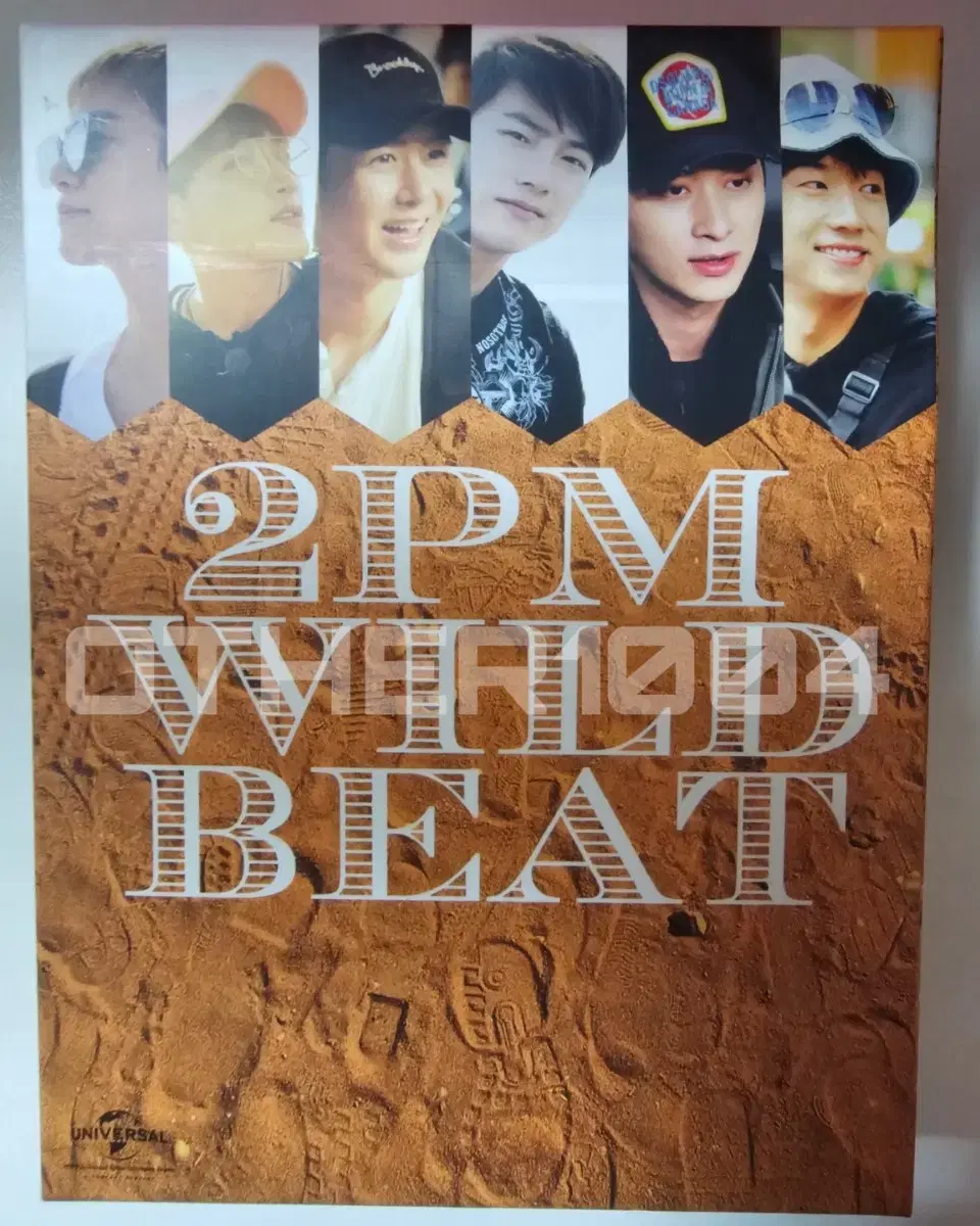 2PM Wildbeat Dvd