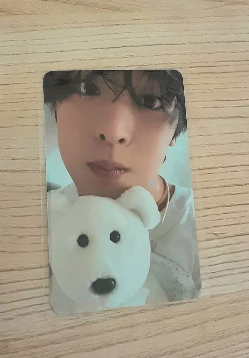 Riku Steady AlbumPhotocard Alpo wts nctwish