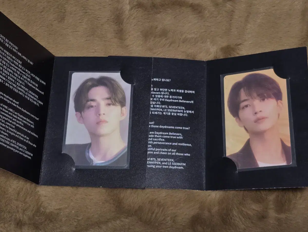 Entry to the Hive Exhibition photocard s.coups Jeonghan