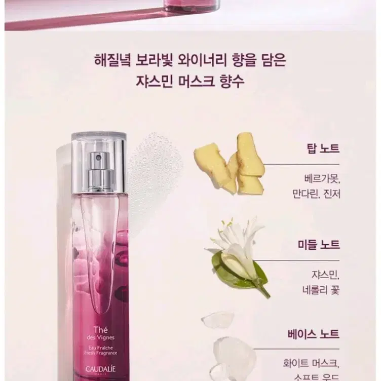 새상품) 꼬달리 테드 비뉴 프랑스 향수 50ml