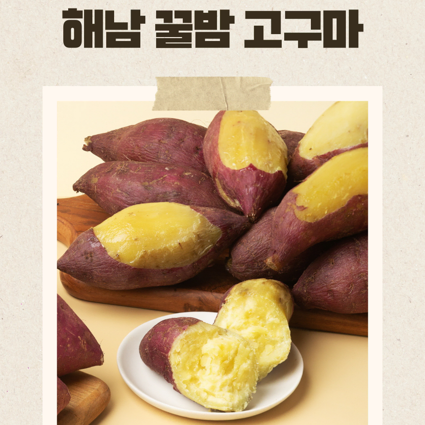 [신선도 100 산지직송] 해남 햇 꿀밤고구마