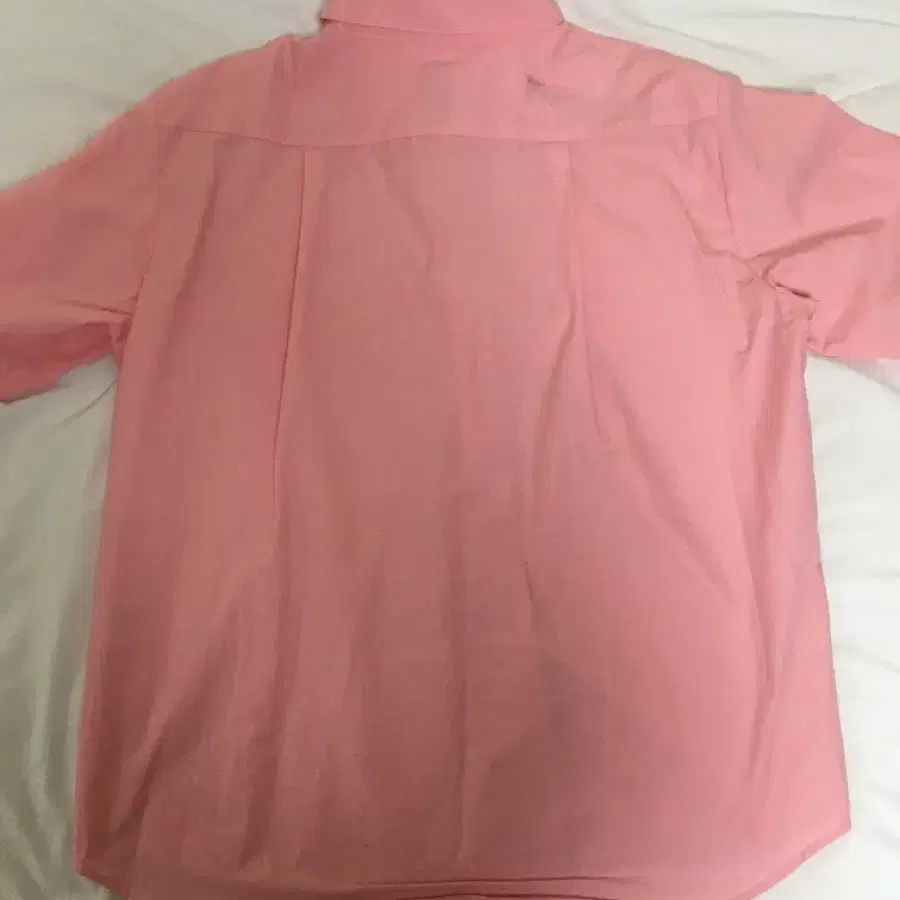 시눈 셔츠 classic cotton shirt (Light Pink)