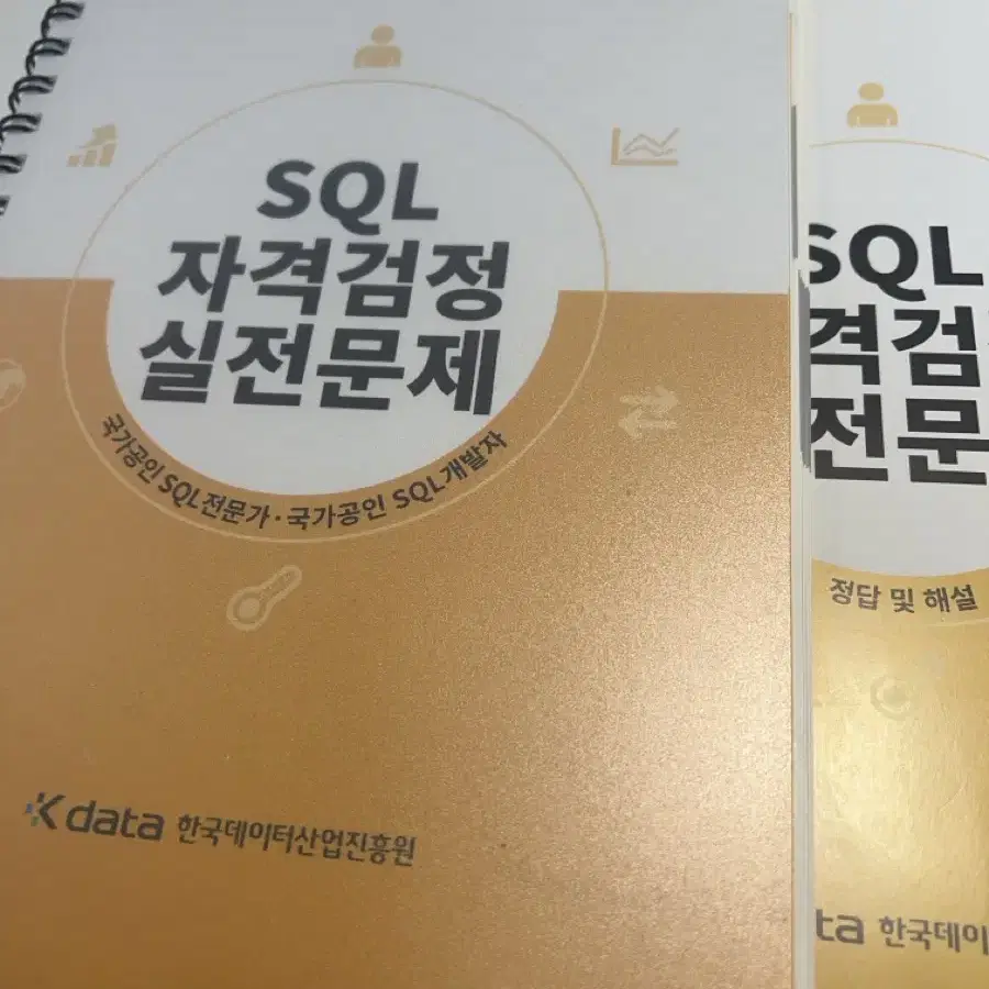 SQL 노랭이