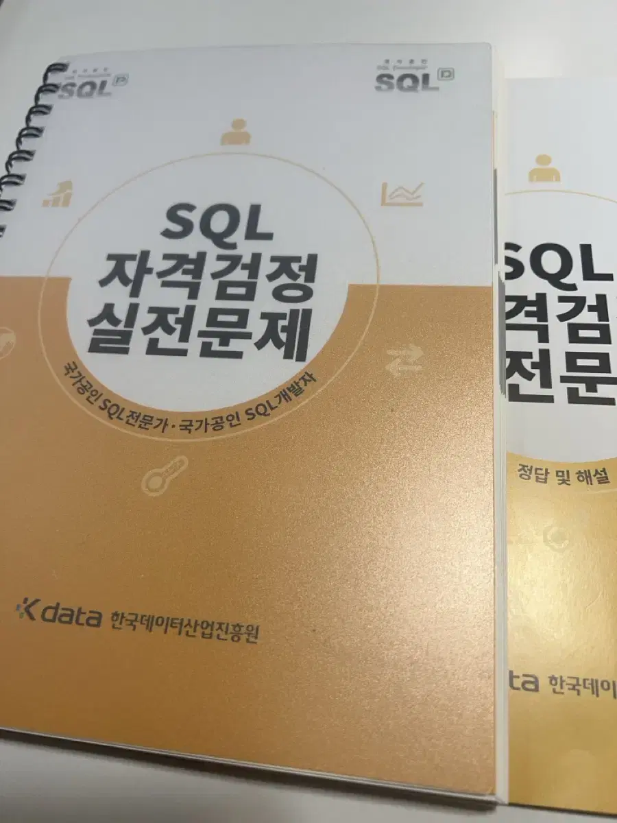 SQL 노랭이