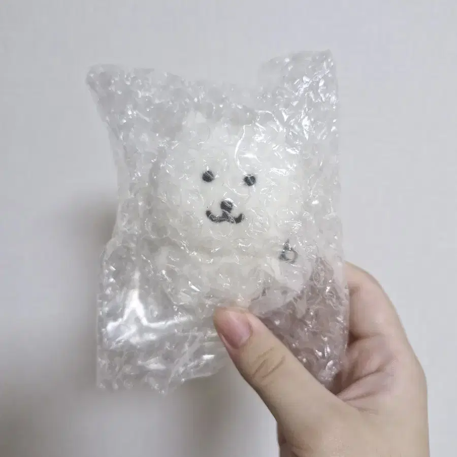 앉은 농담곰 누이