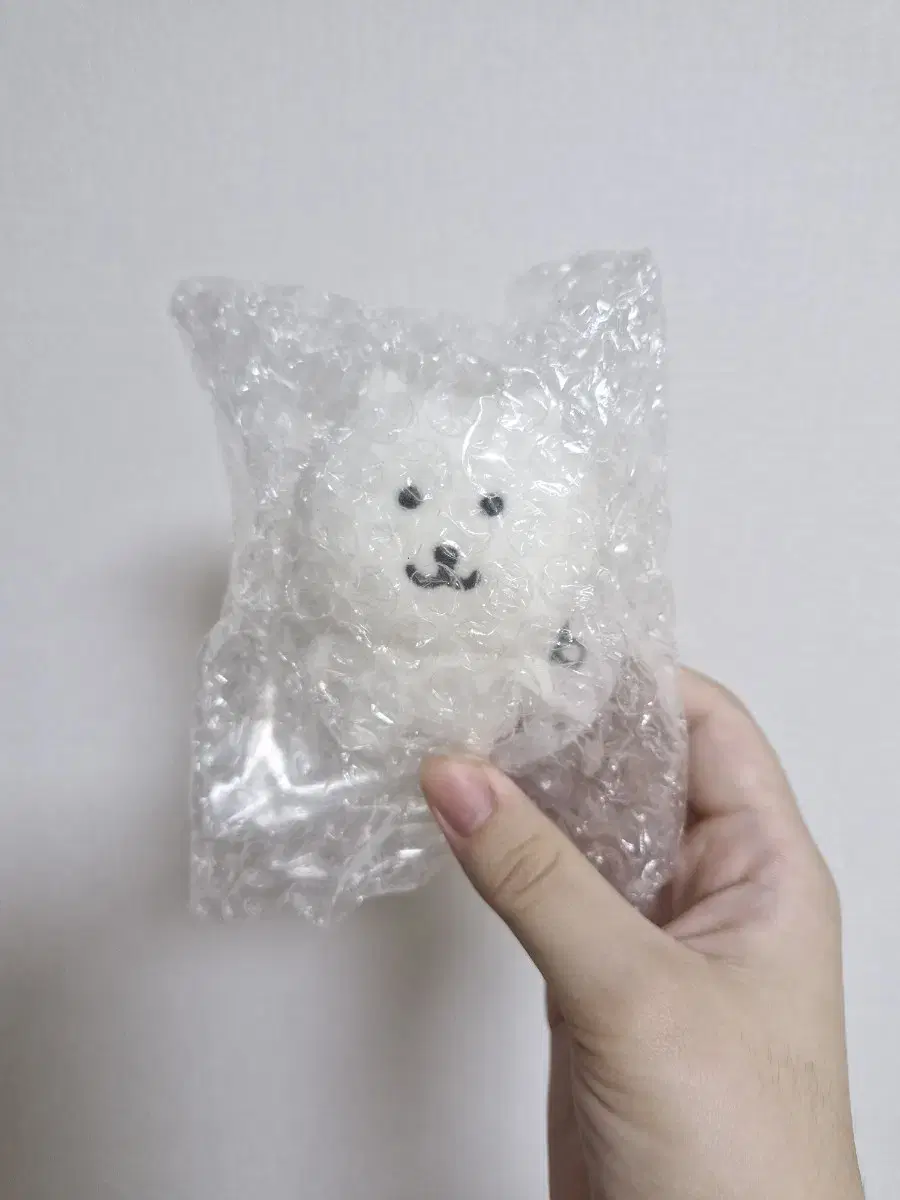 앉은 농담곰 누이