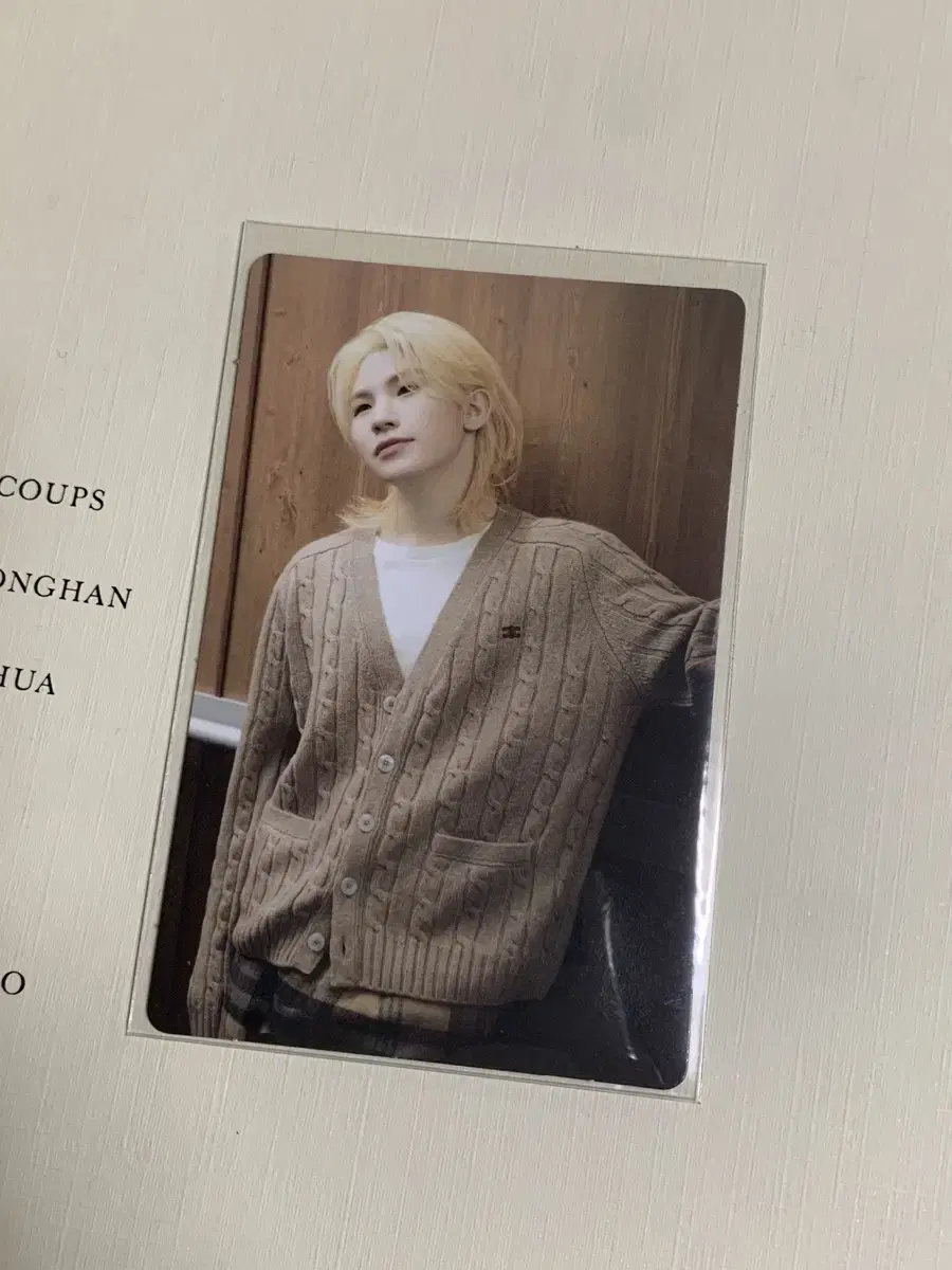 Seventeen woozi 2024 Caratland Caran tc photocard WTS