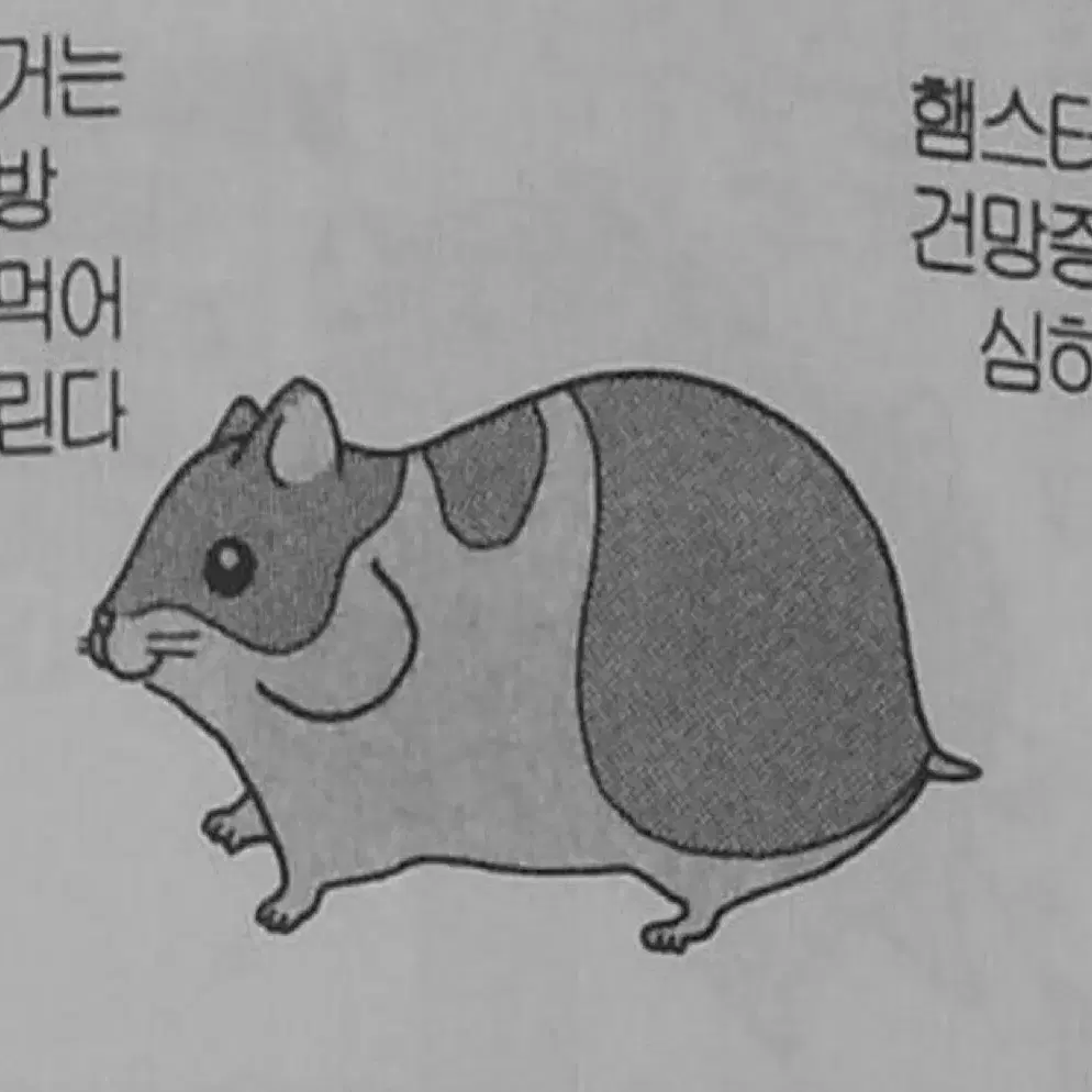 보증금