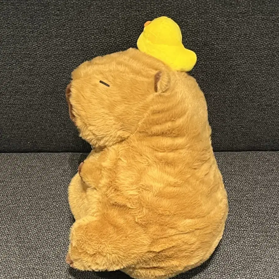 카피바라 병아리 인형 (30cm 인형)