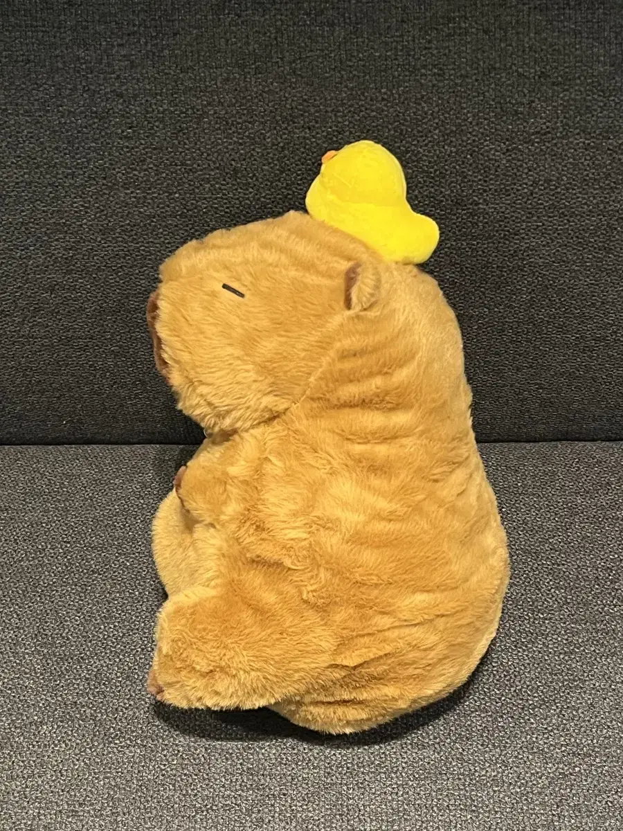 카피바라 병아리 인형 (30cm 인형)