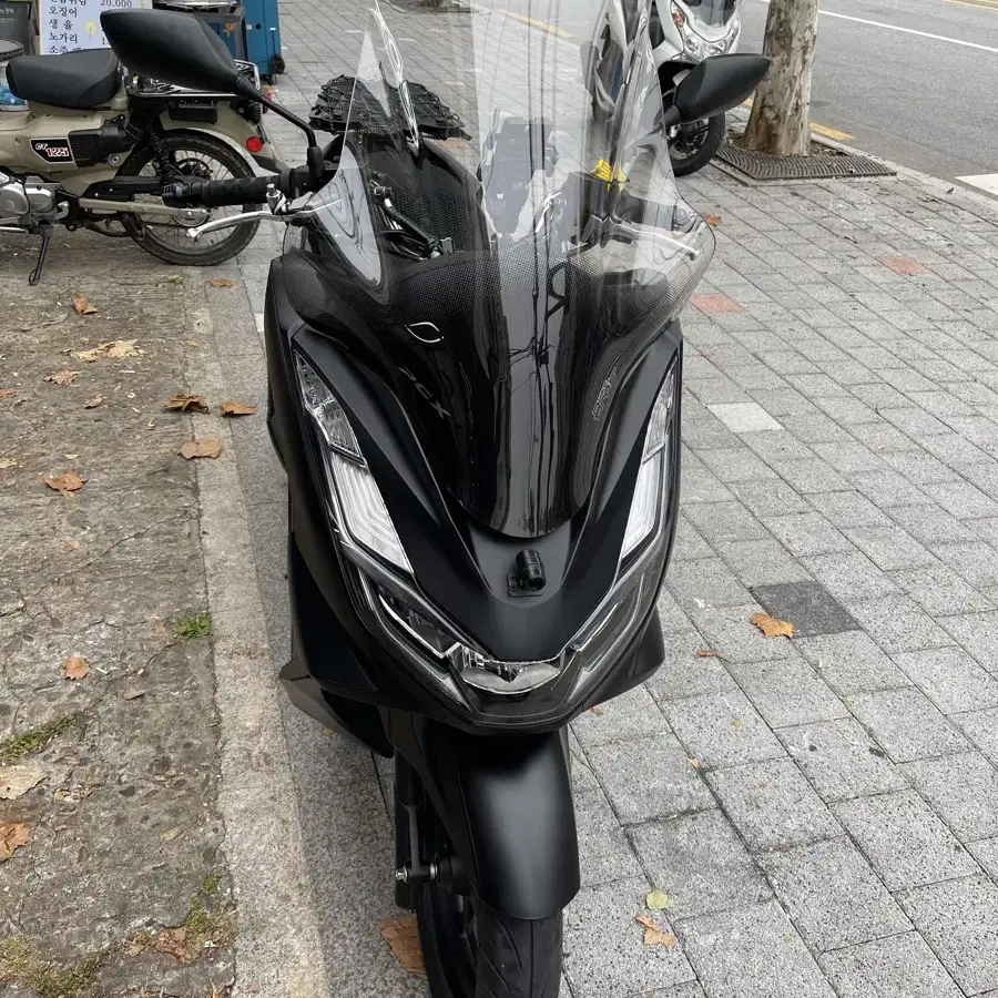 22년식 pcx