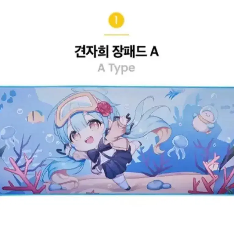 견자희 장패드