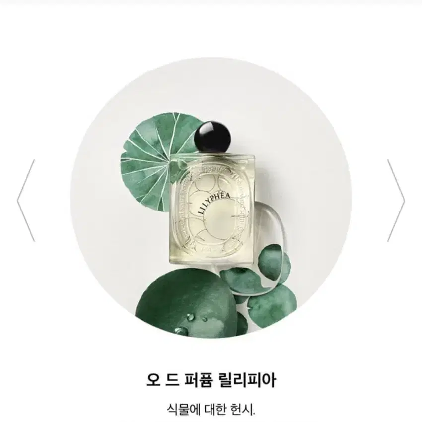 (새상품_향수) 딥티크 100ml 오드 퍼퓸 릴리피아