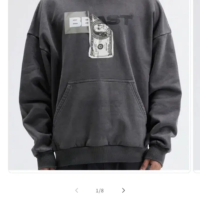 미스터비스트 dollar bill hoodie