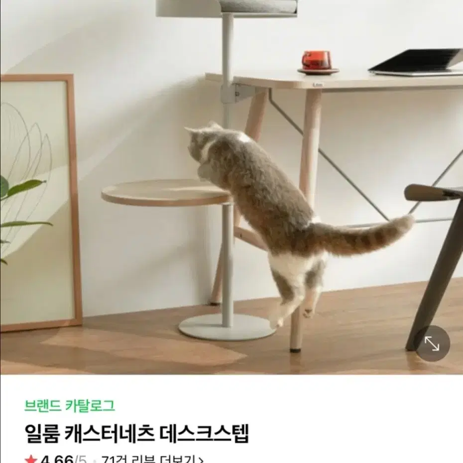 [일룸] 고양이 캐스터네츠 데스크 스텝 캣타워