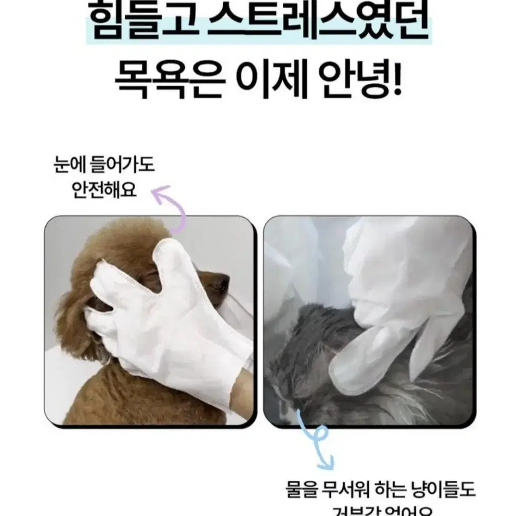 강아지 고양이 목욕 장갑 티슈