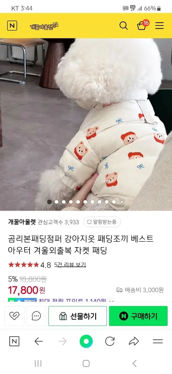 강아지 패딩 L