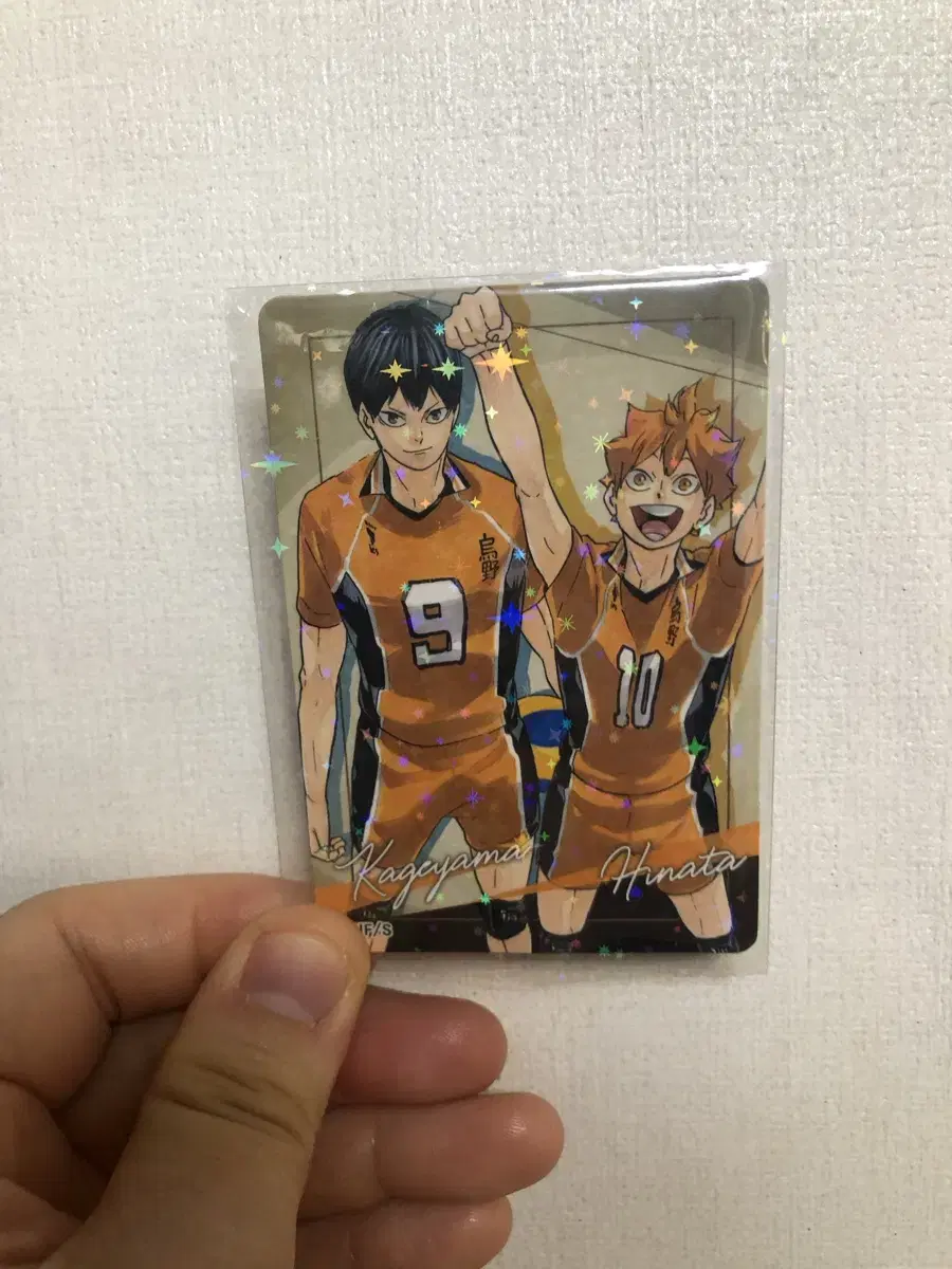 Haikyuu One Piece Magnets in Bulk for Sale