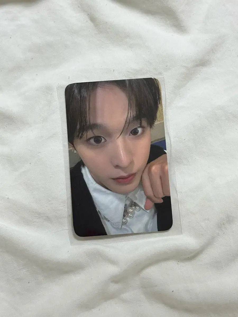 Wish riku Steady jump up ld Photocard