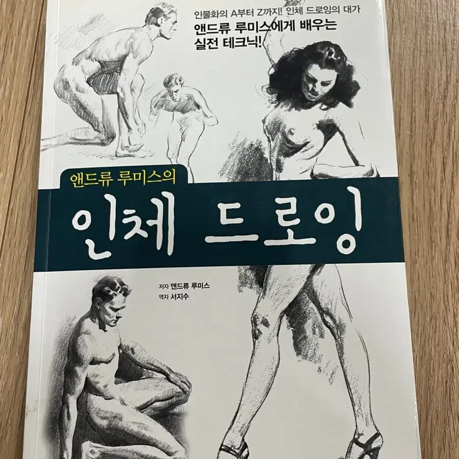 앤드류 루미스의 인체 드로잉