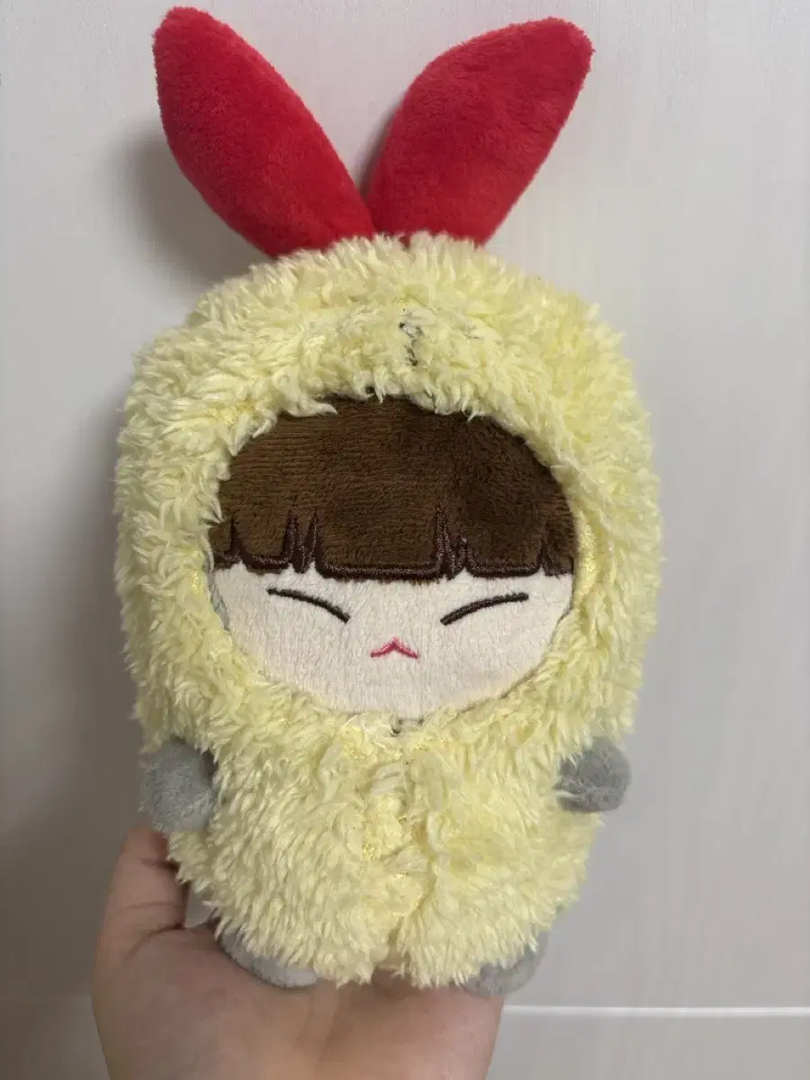 Taldeok) seventeen hoshi doll wts