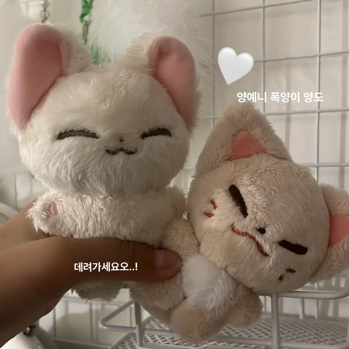 Yang Yeni Bombay wts skz straykids i.n doll WTS