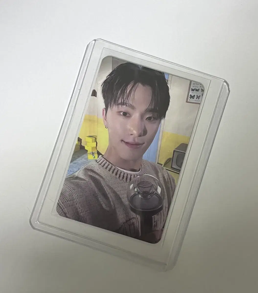 urgent!!) 2024 Caratland carrot zone dino photocard