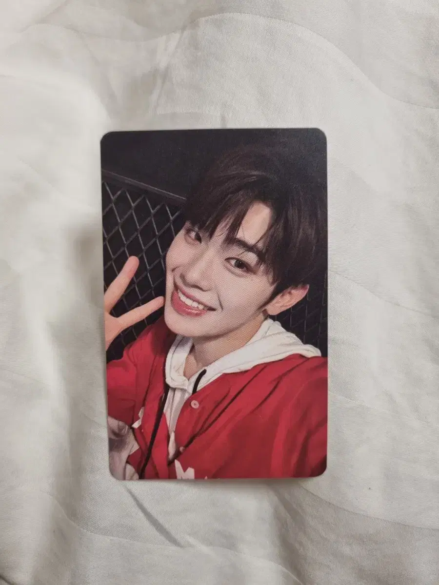 Brewer kim taerae photocard if niche