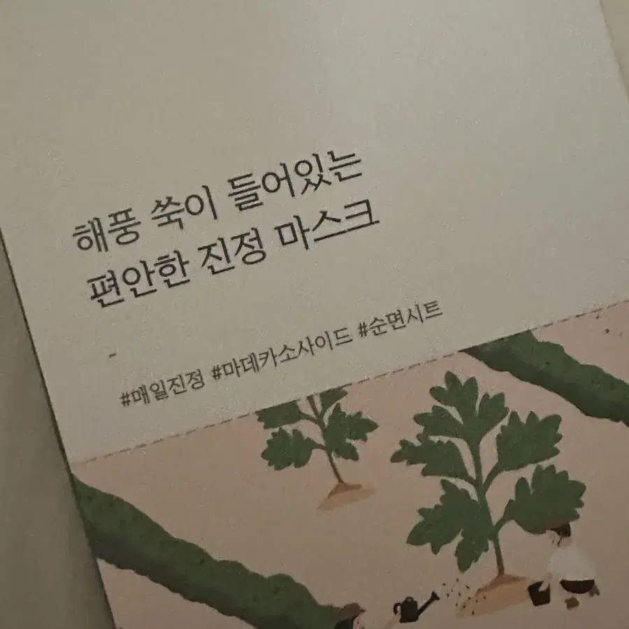 ?매 일괄! 라운드랩 마스크팩 해풍 쑥이 들어있는 편안한 진정 마스크