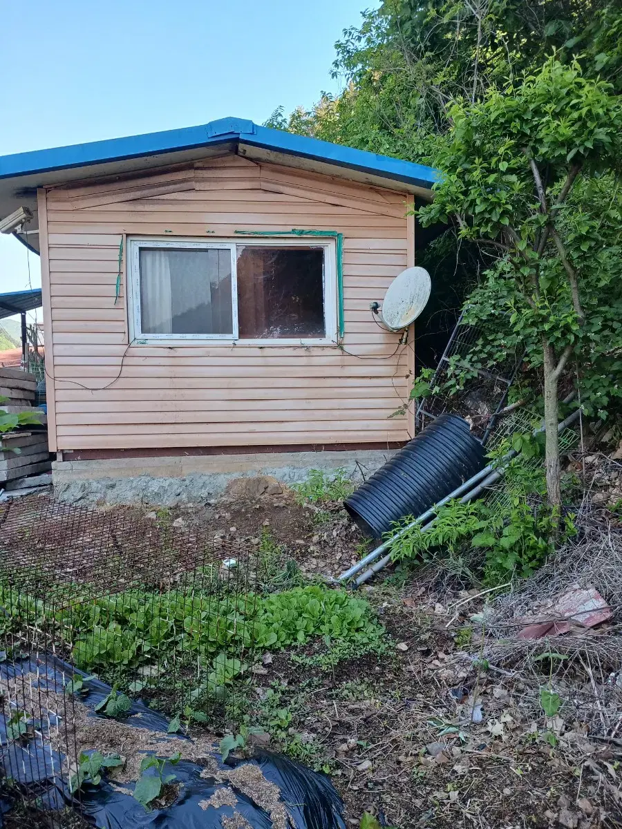 농막및땅두식구텃밭에서여러종류싶어서먹을수있고조용한곳시내10분톨게이트10분야